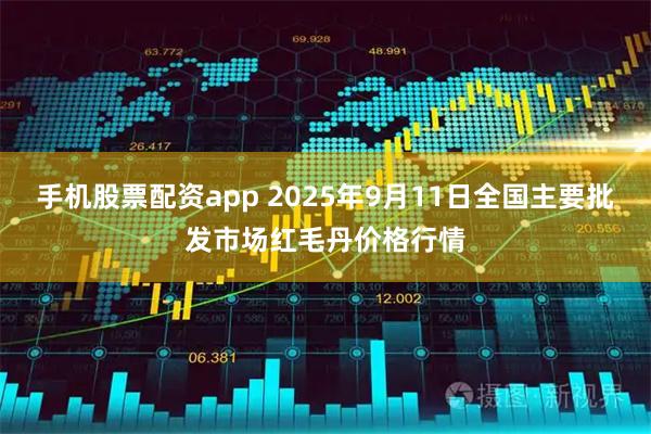 手机股票配资app 2025年9月11日全国主要批发市场红毛丹价格行情