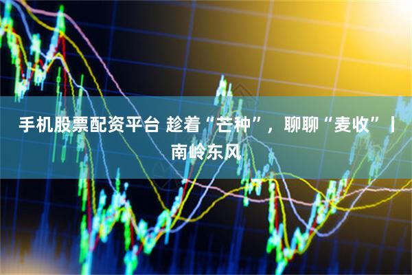 手机股票配资平台 趁着“芒种”，聊聊“麦收”丨南岭东风